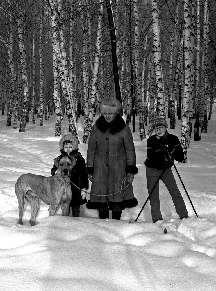 Photo #10100762