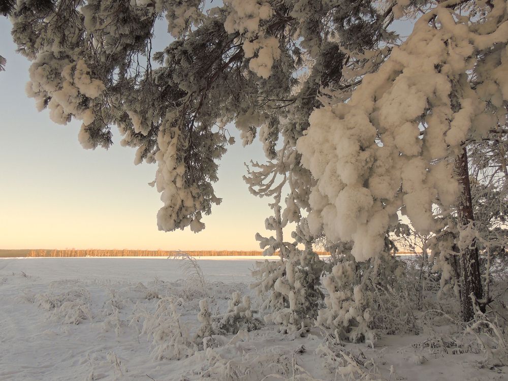 Зимняя сказка