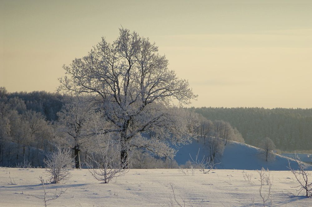 Photograph by Александр Кизим