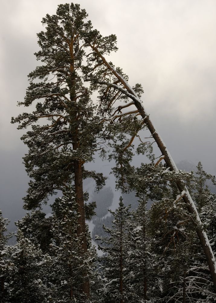 Photograph by Волынкин Арсен