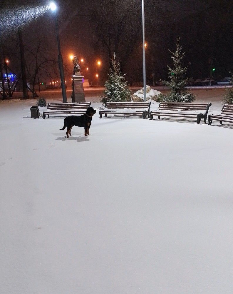 Photograph by Юлия Жулидова