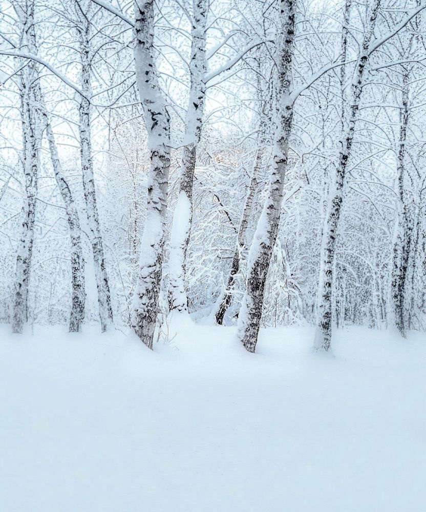 Photograph by Татьяна Волохова