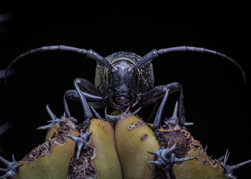 Photograph by Rodolfo Vega Littlewood