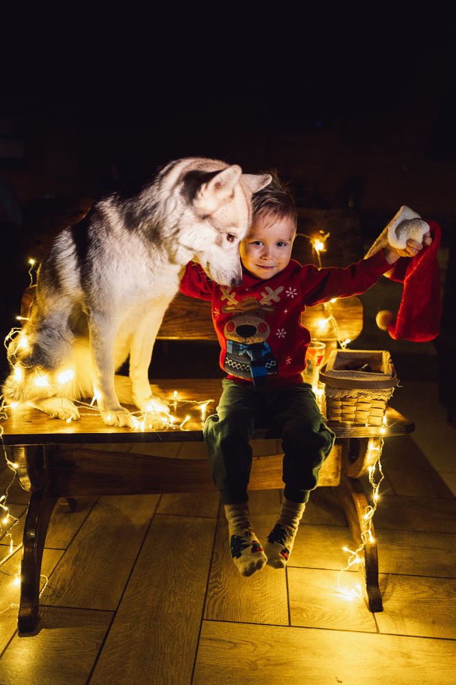 Photograph by Мария Алёшина