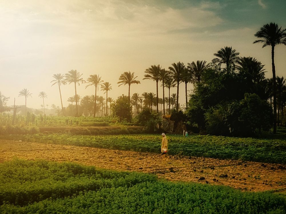 Photograph by Abdullah Abeid