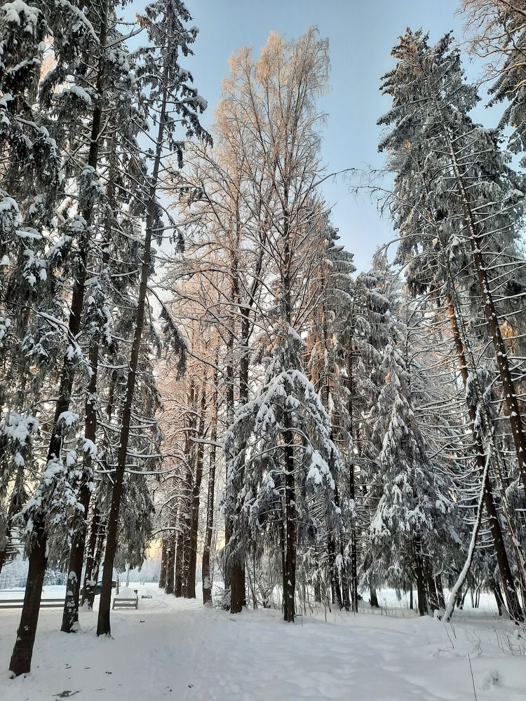 Photograph by Валерия Яскович