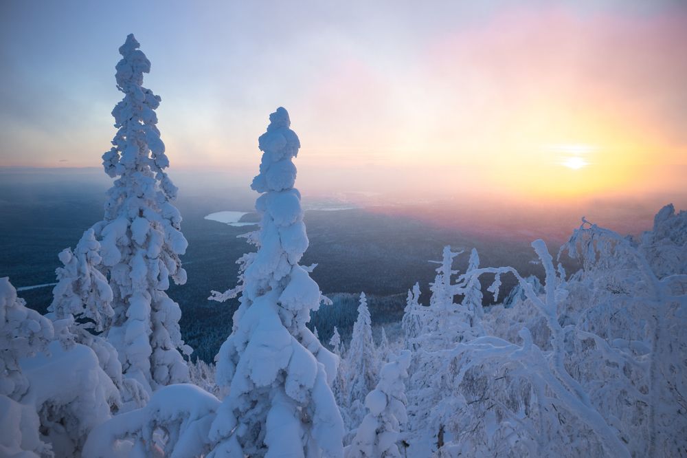 Фотография автора Кристина Горяйнова