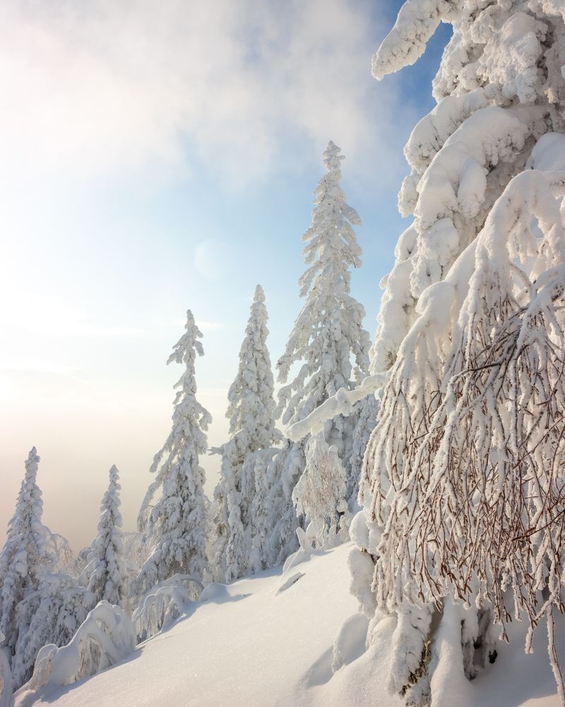 Фотография автора Кристина Горяйнова