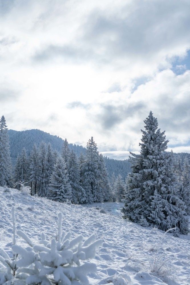 Фотография автора Ирина Зайцева