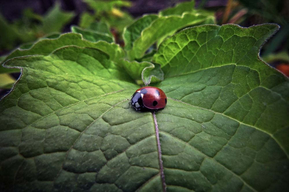 Photograph by Наташа Фишер