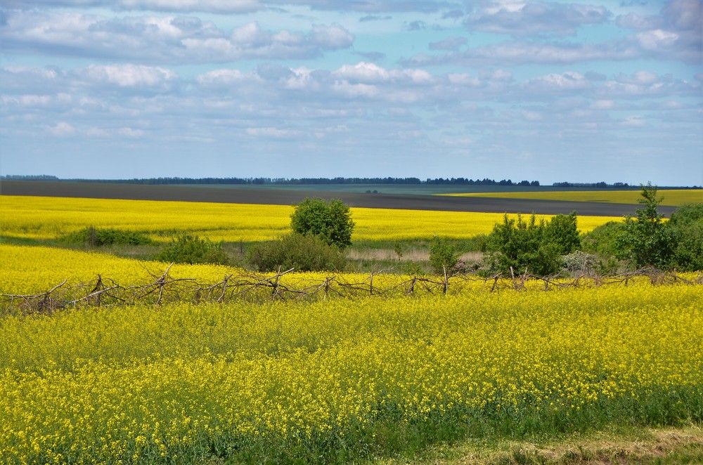 По дороге домой.