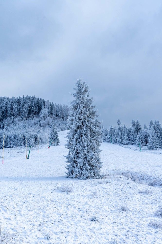 Фотография автора Ирина Зайцева