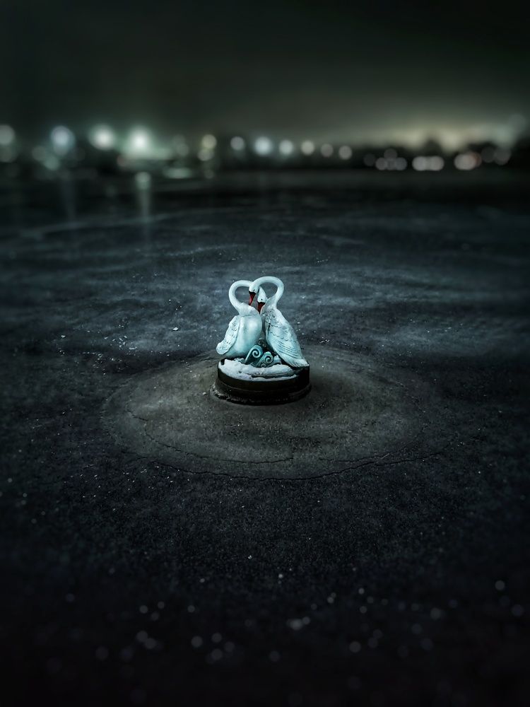 Photograph by Леонид