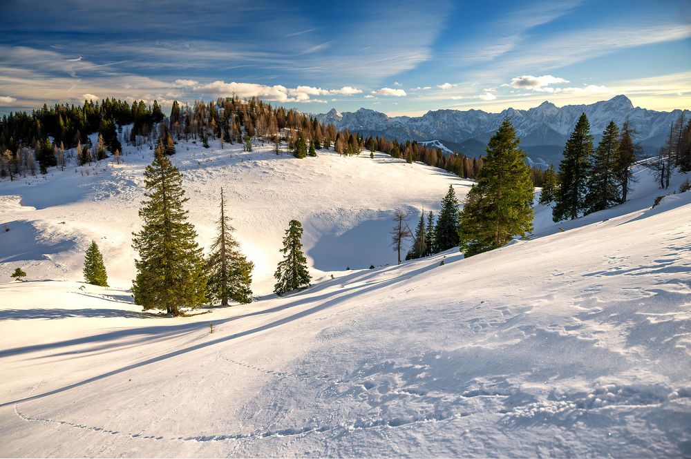 Фотография автора Liviu Ciprian Hiticas