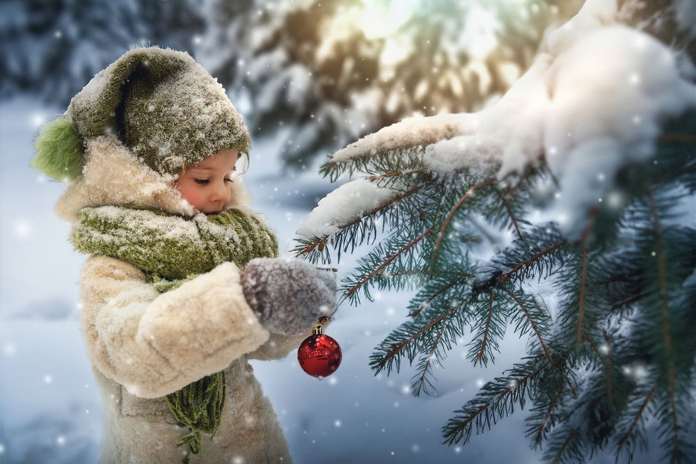 Photograph by Виктория Муравьева