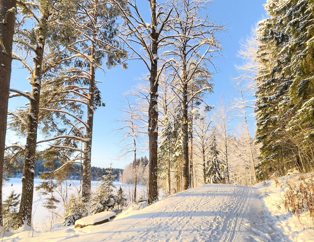 Photograph by Елена Шмарловская