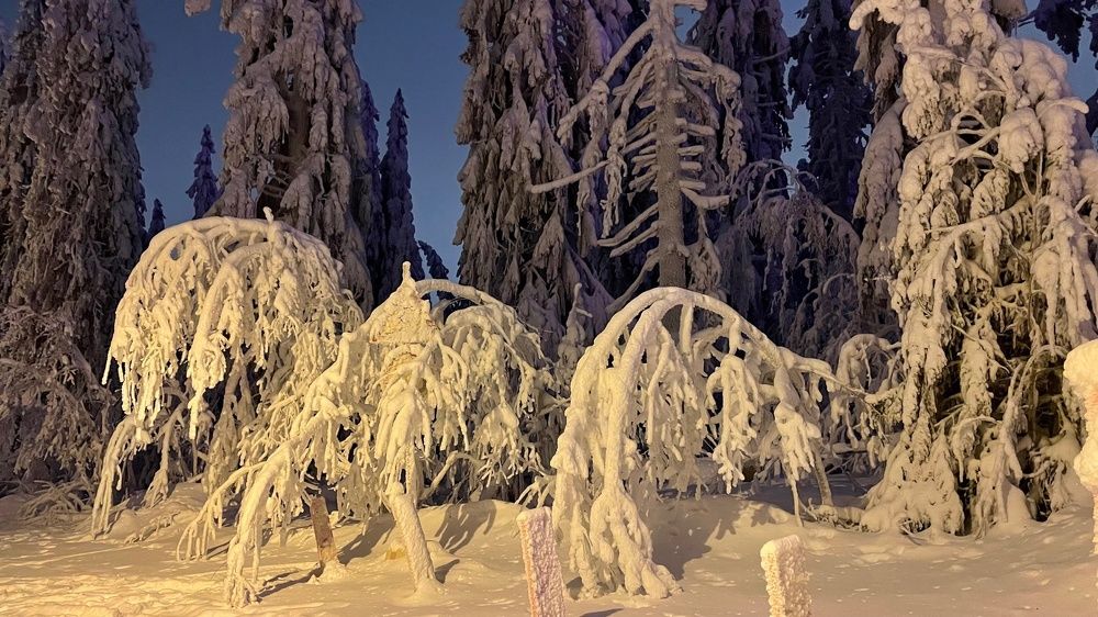 Photograph by Елена Шмарловская