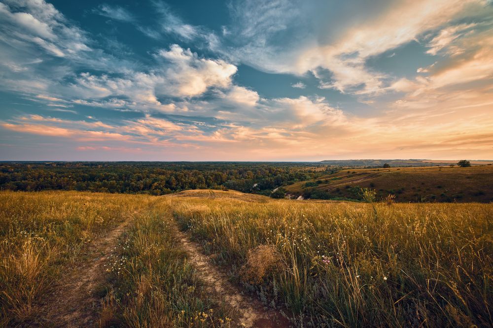 Photograph by Дмитрий Дыбов