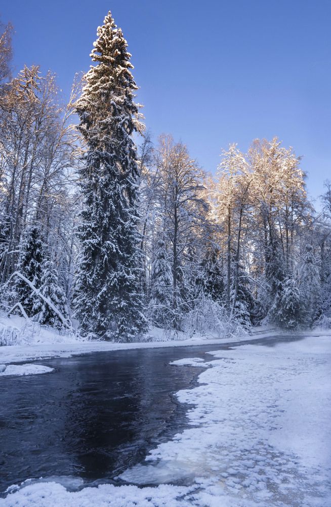 Фотография автора Галина
