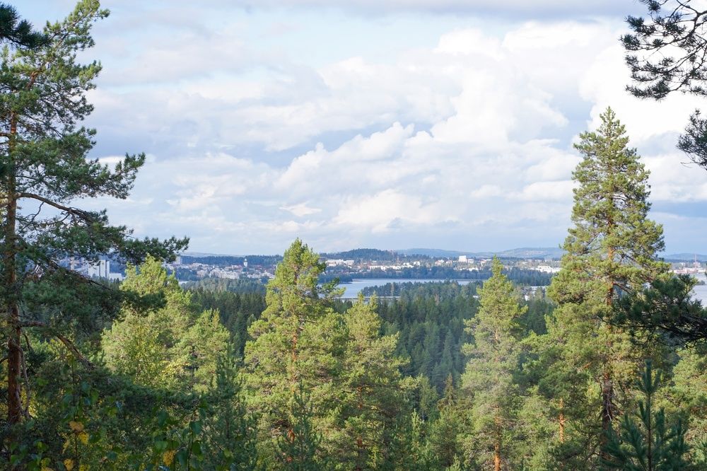 Photograph by Елена Шмарловская