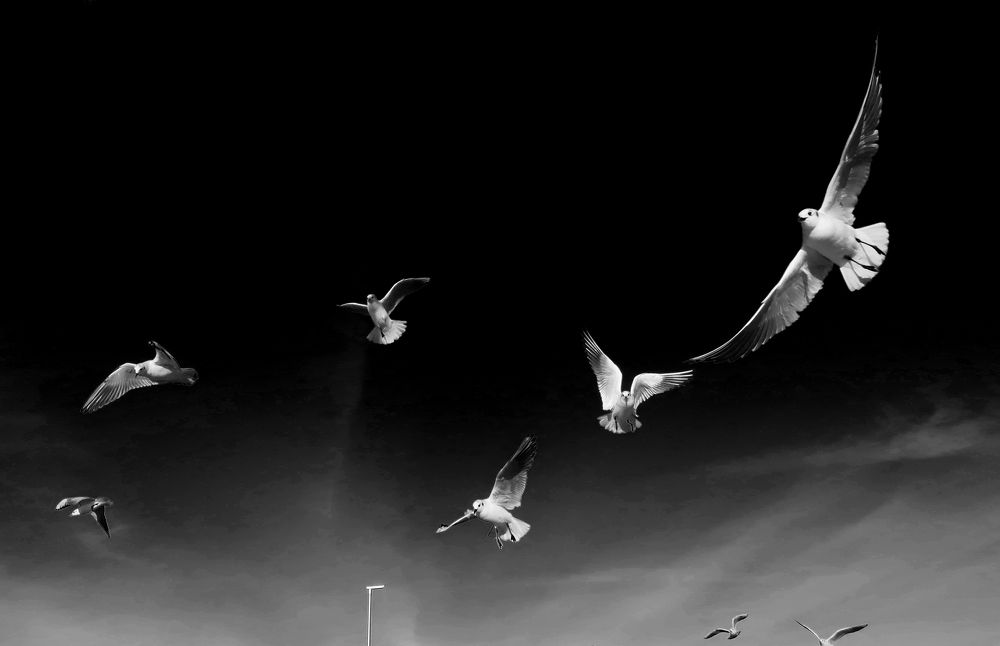 Photograph by Ольга Стоун