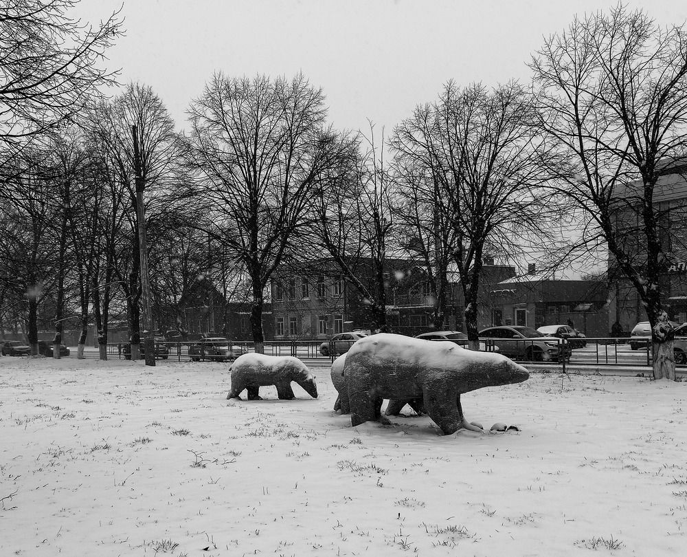 Photograph by Олег Башкуров