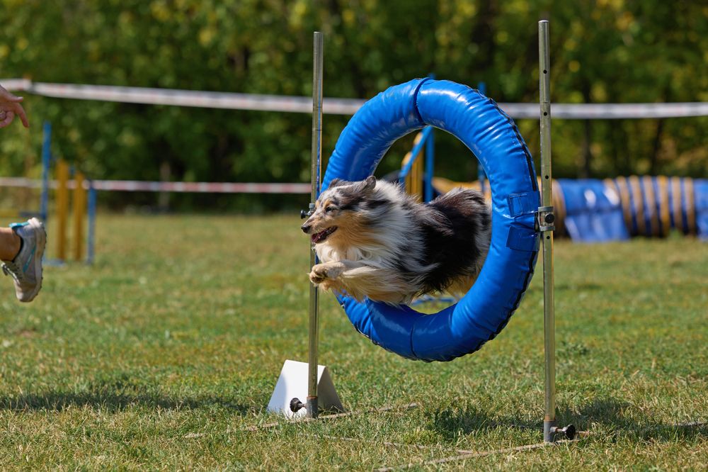 Photograph by Алина Сулейманова