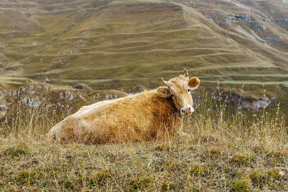 Photograph by Татьяна