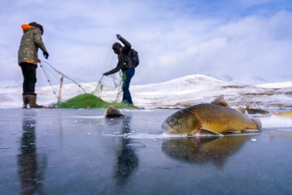 Photograph by Mustafa Şahin