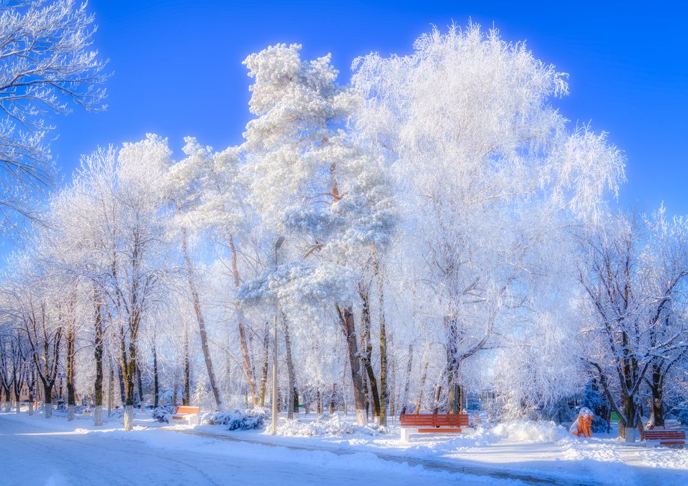 Photograph by Владимир Кваша