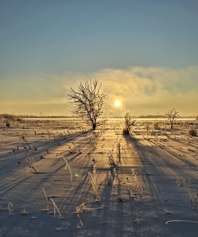 Photograph by Elena N.