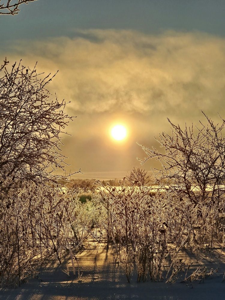 Photograph by Elena N.