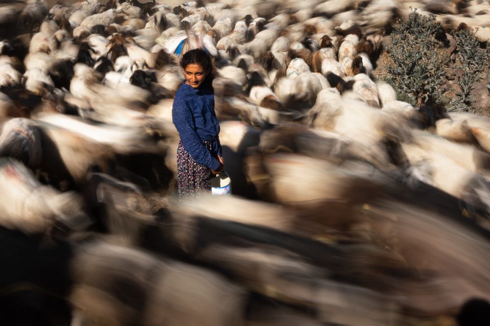 Photograph by Mustafa Şahin