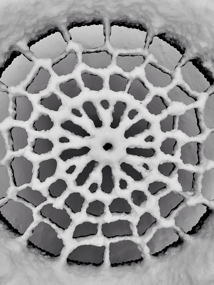 Photograph by Елена Берсенева