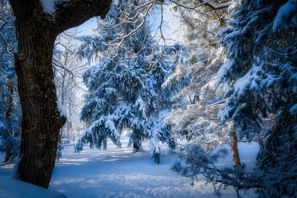 Photograph by Владимир Кваша