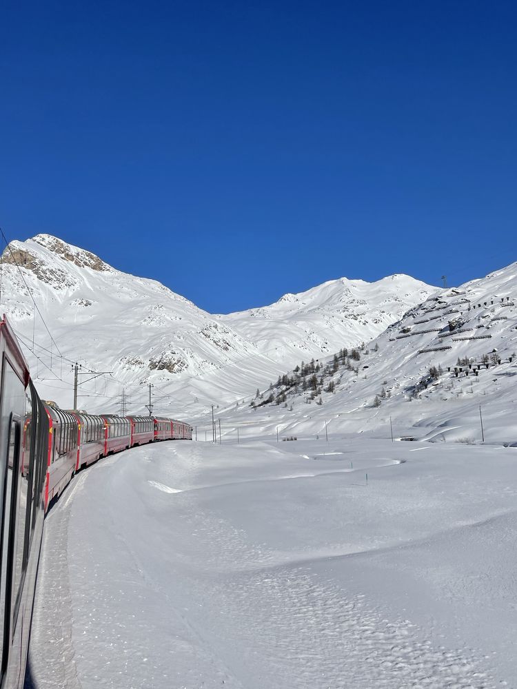 Photograph by Алина Сулейманова