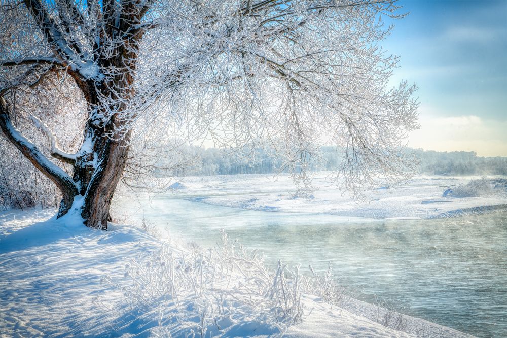 Photograph by Владимир Кваша