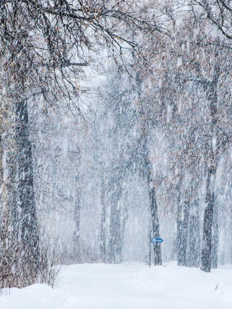 Photograph by Konstantin Martynov