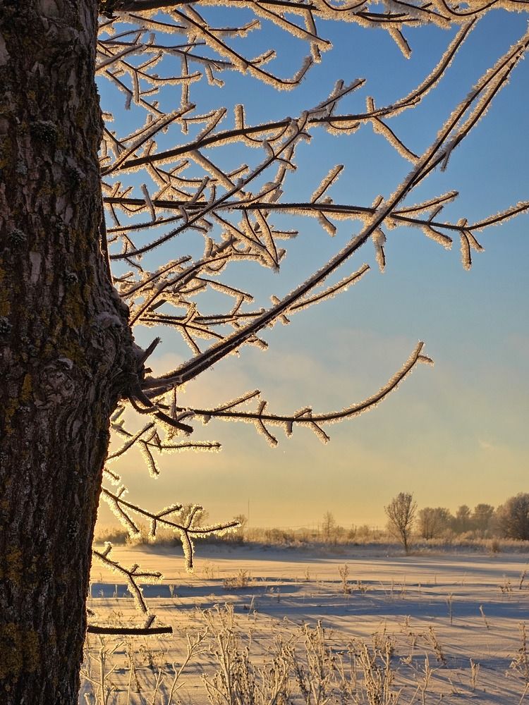 Photograph by Elena N.