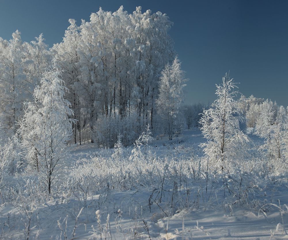 Photograph by Наталья Суслова