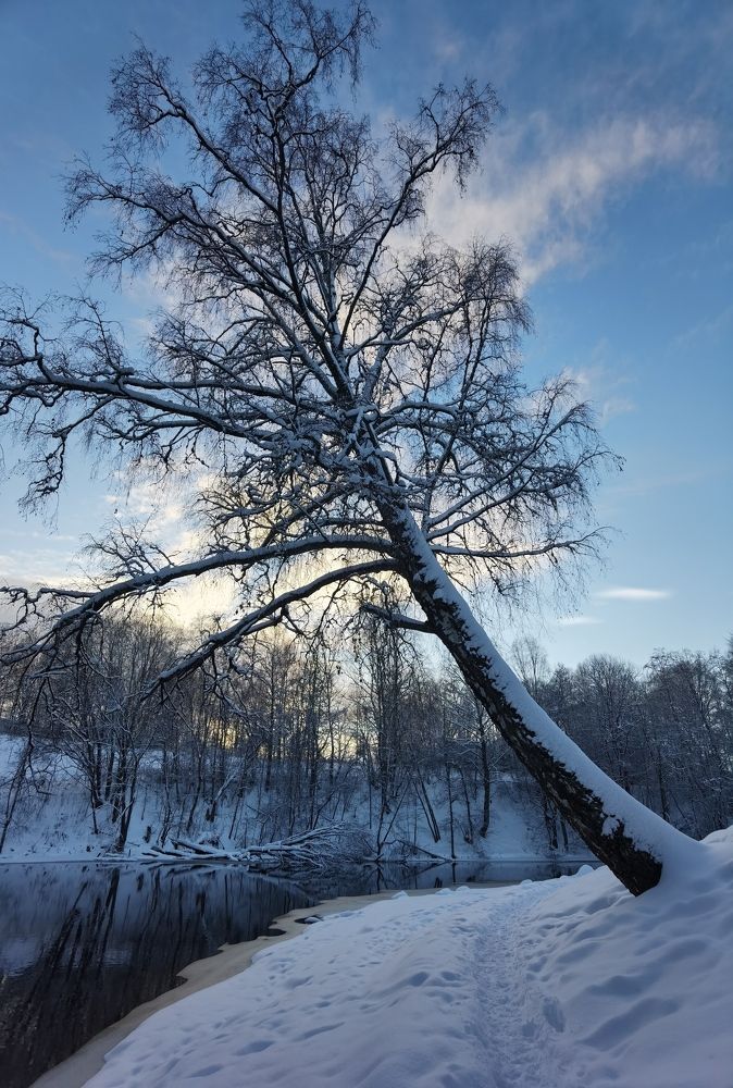 Photograph by Ventseslav Vutov