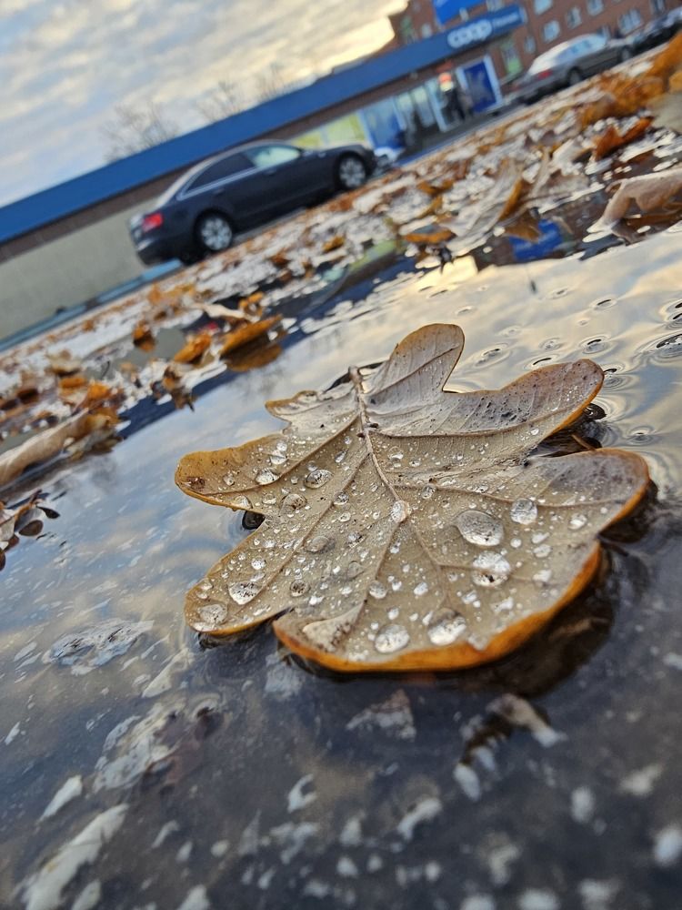 Photograph by Elena N.