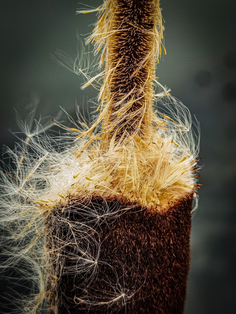 Photograph by Влад Апанасов