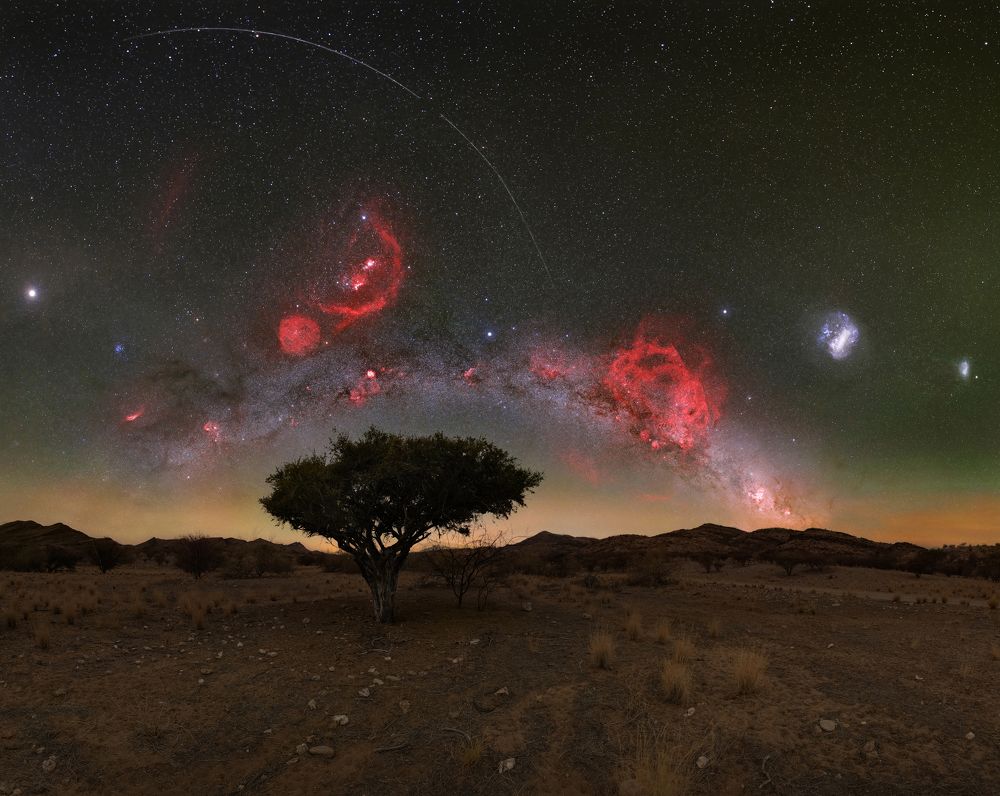 Lonely tree under the red flame of Orion (28mm panorama), September 2023, Namibia