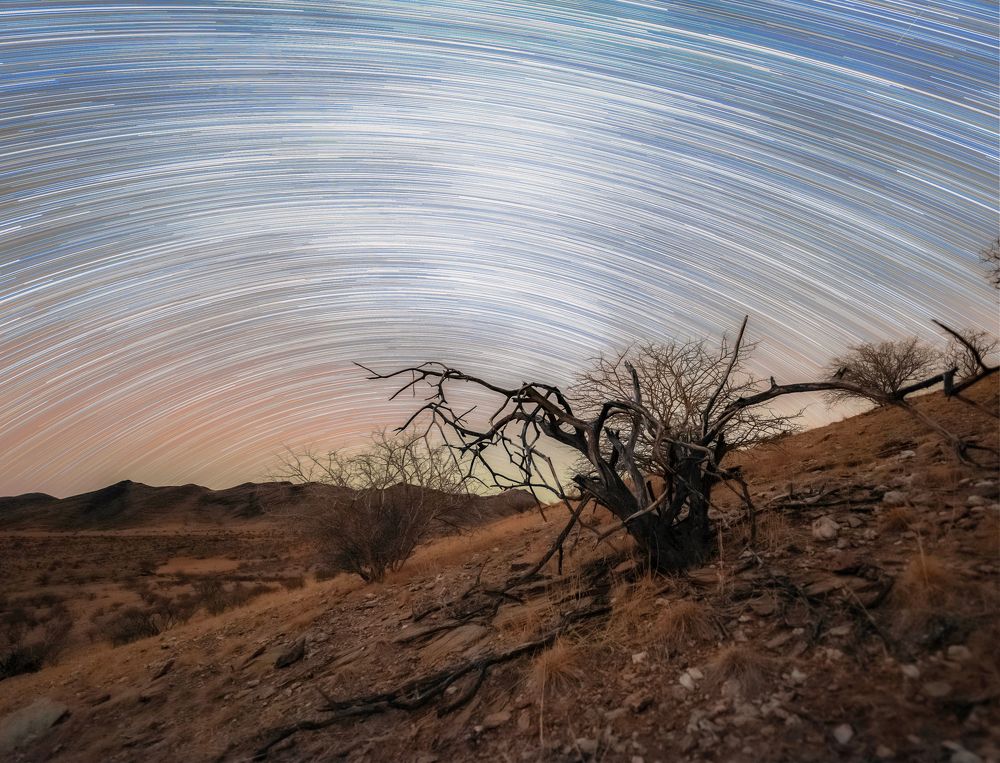 Фотография автора Egor Goryachev