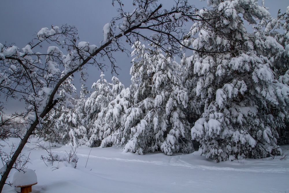 Photograph by Елена