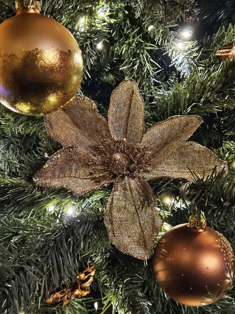 Photograph by Оксана Новикова