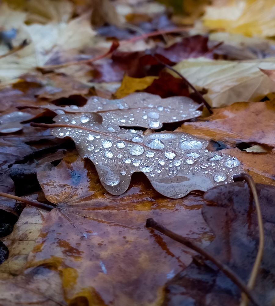 Фотография автора Екатерина Иванова