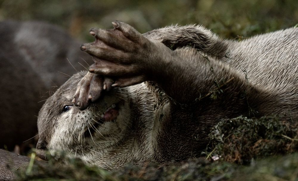 Photograph by Владимир Цветов