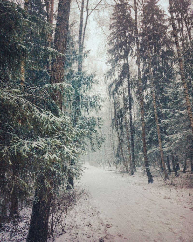 Photograph by Dina Garipova
